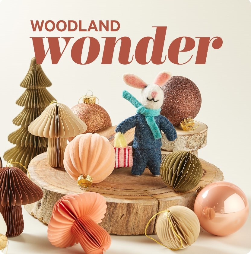 Woodland Wonder