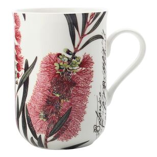 Maxwell & Williams Royal Botanic Gardens 300 ml Australian Botanics Mug Bottle Brush