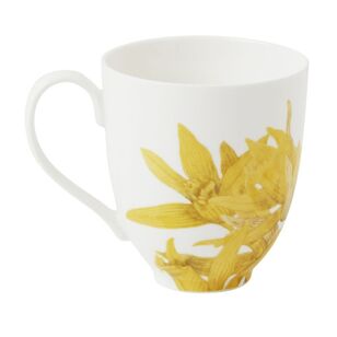 Maxwell & Williams Royal Botanic Gardens 350 ml Australian Orchids Mug Yellow