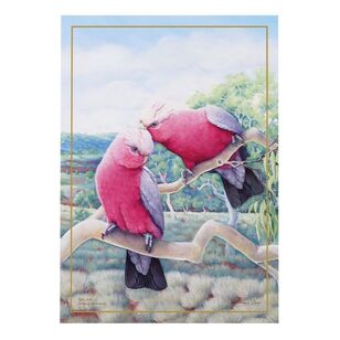 Maxwell & Williams Katherine Castle Birds 10 Year 50 x 70 cm Tea Towel Galah