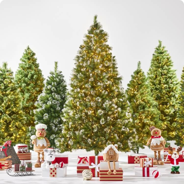 Christmas Tree Buying Guide