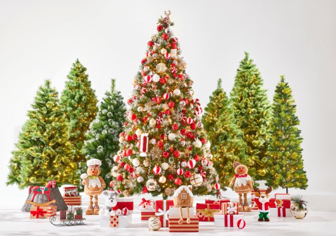 Christmas Tree Buying Guide