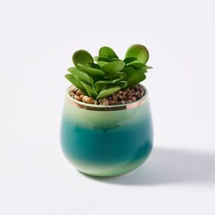 Soren Faux Succulent Plant Green