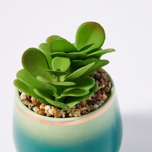 Soren Faux Succulent Plant Green