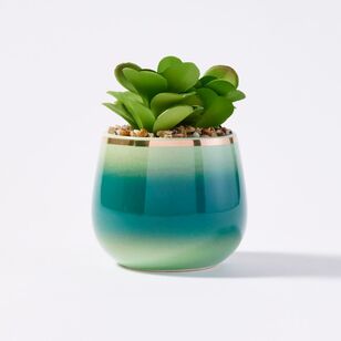 Soren Faux Succulent Plant Green