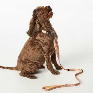 Mozi Pet Gingerbread Collar Brown