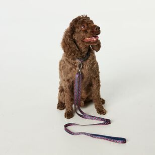 Mozi Pet Strawberry Leash Red