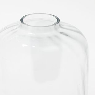 Soren 24 cm Narrow Neck Glass Vase Clear