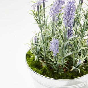 Soren Lavender Plant in Metal Pot Light Purple