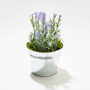 Soren Lavender Plant in Metal Pot Light Purple