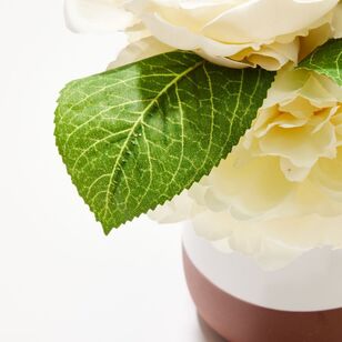 Soren Peony Bouquet In Vase White