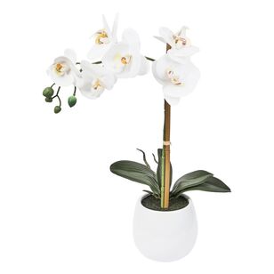 Cooper & Co Ella Faux 45 cm Orchid White