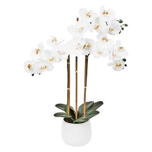 Cooper & Co Amelia Faux 65 cm Orchid White