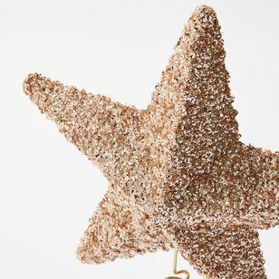 Soren Glitter Champagne Star Tree Topper