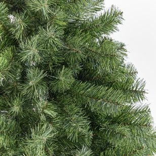 Soren Nordmann Fir Christmas Tree 180 cm