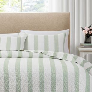 Laura Ashley Lym Regis Coverlet Set Grey & Green Queen