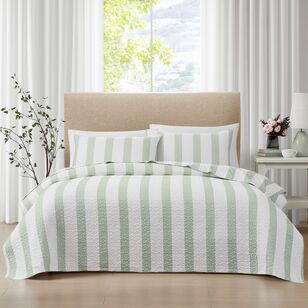 Laura Ashley Lym Regis Coverlet Set Grey & Green Queen