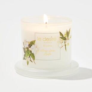 Le Desire Blooms 113 g Cloche Candle Mango Lemon Green