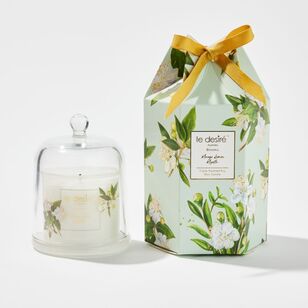 Le Desire Blooms 113 g Cloche Candle Mango Lemon Green